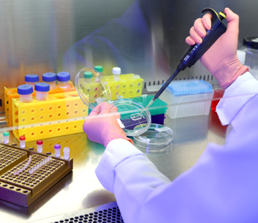 Msc. in Regenerative Medicine