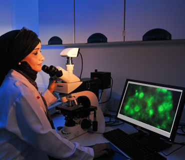 PhD in Molecular Medicine