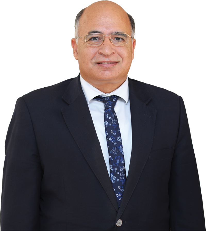 Prof. Abdelhalim Deifalla