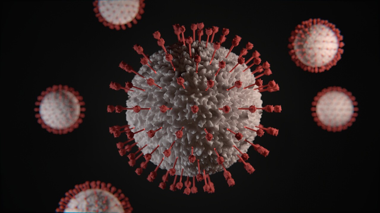 Microbiology and Immunology and Infection Diseases