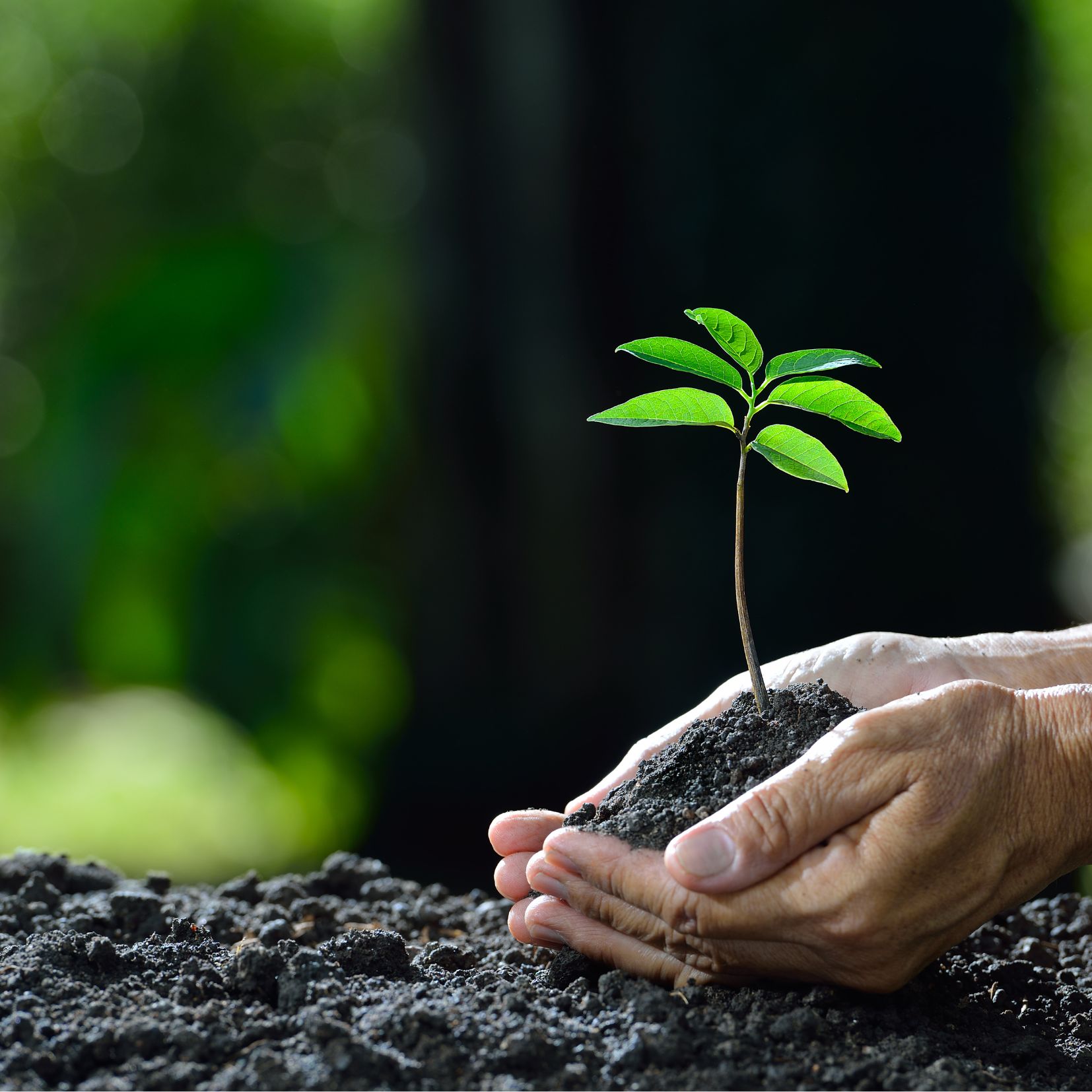 Environmental and Biological Studies